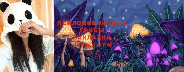 первитин Богданович